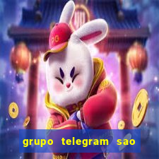 grupo telegram sao jose do rio preto